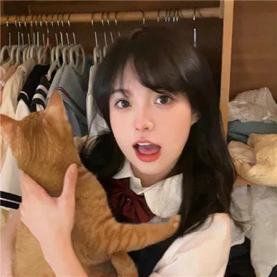 无所畏惧之永不放弃电视剧