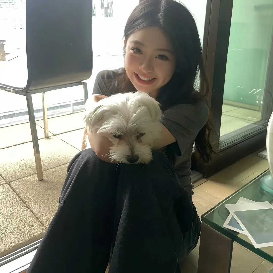 好先生在线观看免费版